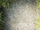 image of grave number 972921